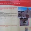 affiche pigeon