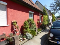 P1150392