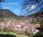 bad teinach