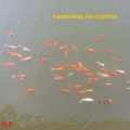 poissons