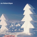 antarctique