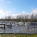 corral