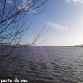 perte vue