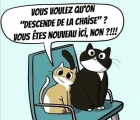Sans titre 2
