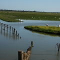 marais