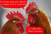 Sans titre 11