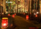 kyoto parc