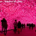 Nagoya