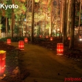 kyoto parc