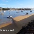 travail temete loin