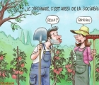Sans titre 17