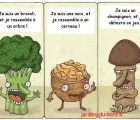 Sans titre 19