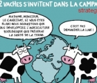 Sans titre 1