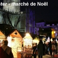winchester marche