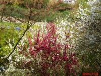 couleurs