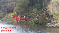 hanami02signe