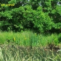 bords du canal.2