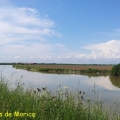 mrais