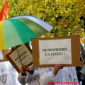 pancartes 2