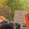 pancartes