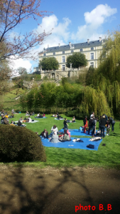 hanami03 signe