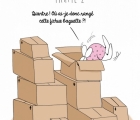 Sans titre 3
