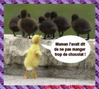 Sans titre 3