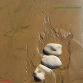 traces mer