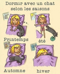 chat