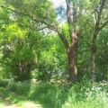 chemin