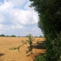 tracteur