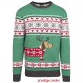 pull chien