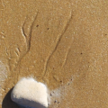 traces eau