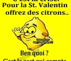 Sans titre 19