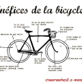 Sans titre 4