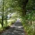 chemin