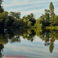 etang