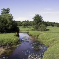 ruisseau