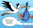 Sans titre 16
