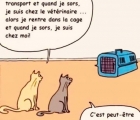 Sans titre 7