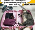 Sans titre 8