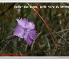 Sans titre 6