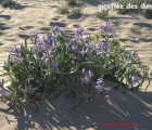 Sans titre 9