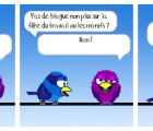 Sans titre 13