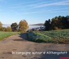 Sans titre 3