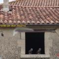 en repartant