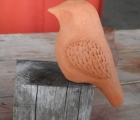 oiseau claire