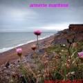 armerie