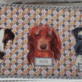 chiens