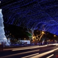sapin avenue